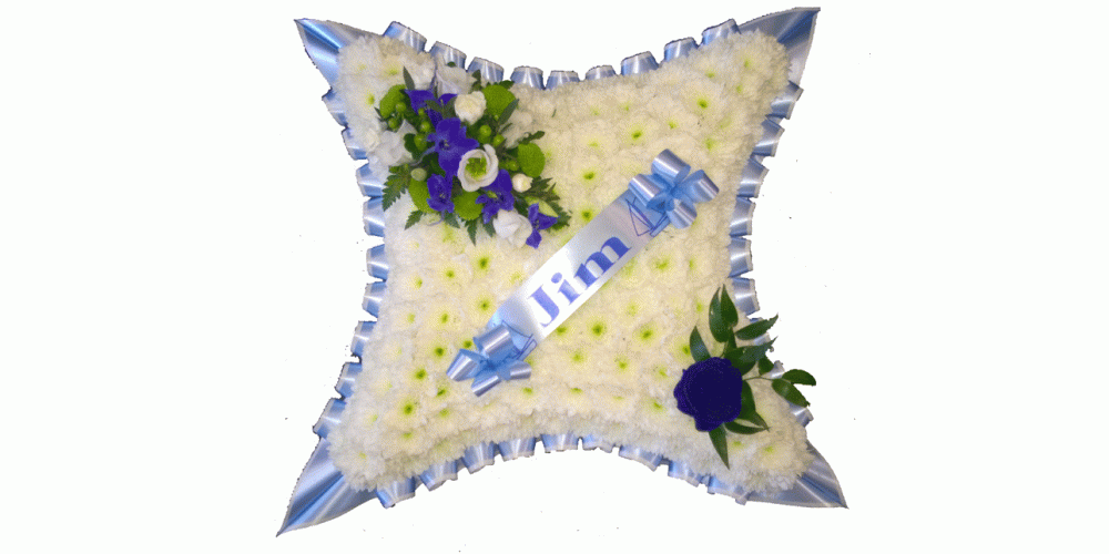 Blue and White Cushion