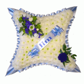 Blue and White Cushion Blue and White Cushion