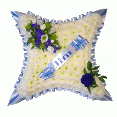 Blue and White Cushion