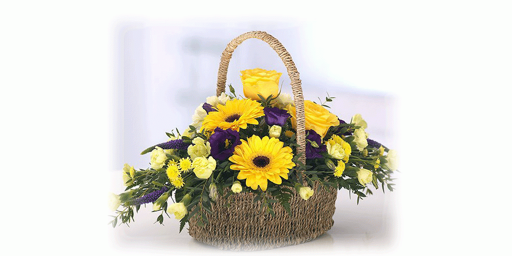 Zest Basket