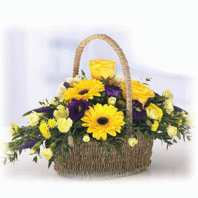 Zest Basket Zest Basket