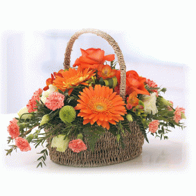 Vivid Basket Vivid Basket