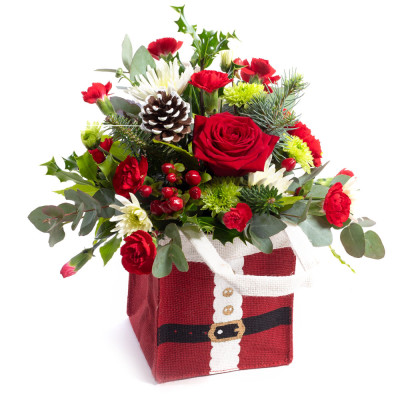 Red Christmas Gift Bag