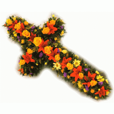 Classic Cross - Vibrant Classic Cross - Vibrant