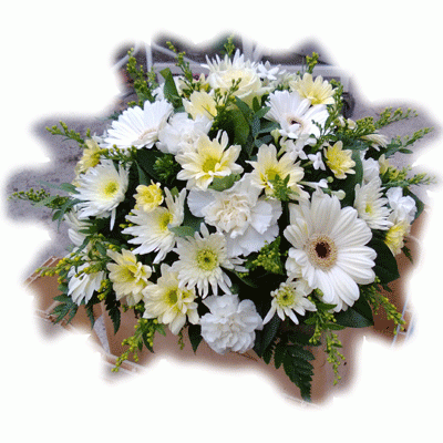 Classic Mixed Posy 