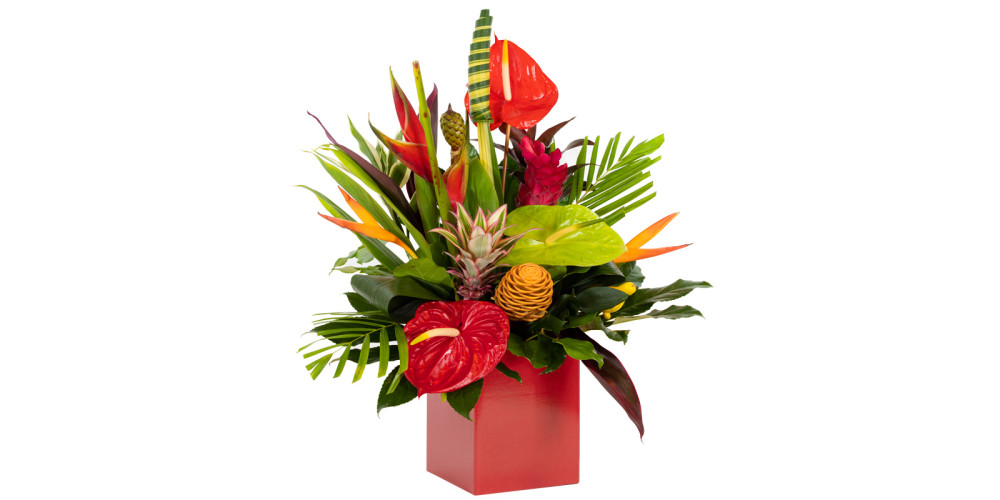 Hot Tropics
