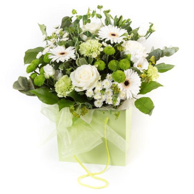 Lime & White Gift Bag Lime & White Gift Bag