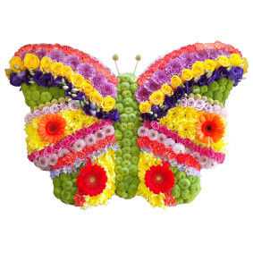 Vibrant Butterfly Tribute Vibrant Butterfly Tribute