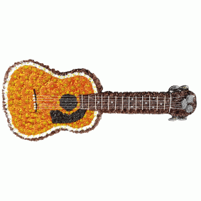 Guitar tribute