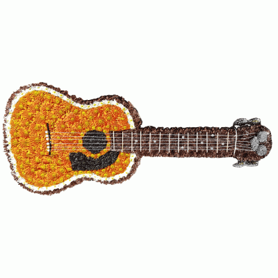 Guitar tribute Guitar tribute