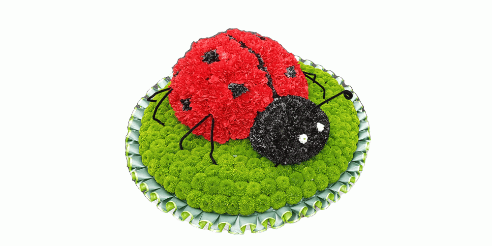 Ladybird tribute
