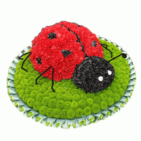 Ladybird tribute