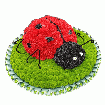 Ladybird tribute