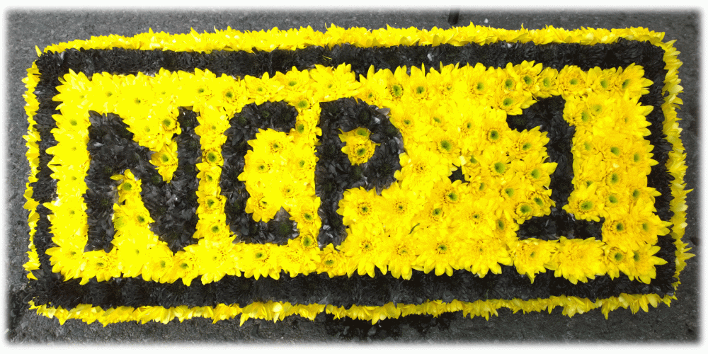 Number Plate