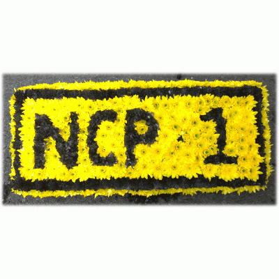 Number Plate
