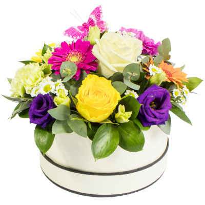 simply the best hat box
