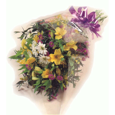 Flowers in Cellophane 