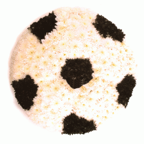 Football-tribute