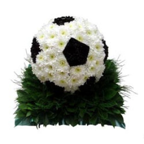 Football tribute