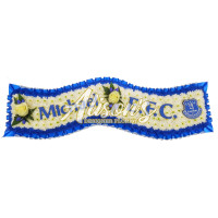 everton scarf