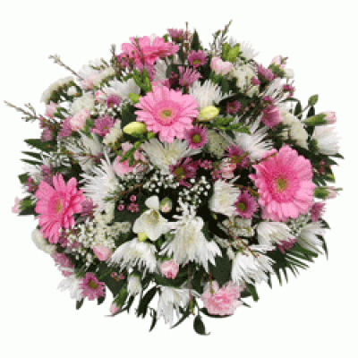 pastel pink white posy pastel pink white posy