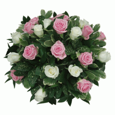 rose posy pink and white