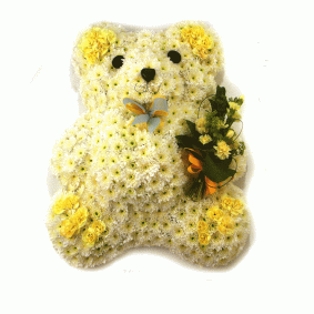 Teddy Bear Teddy Bear