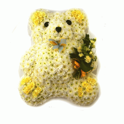 Teddy Bear