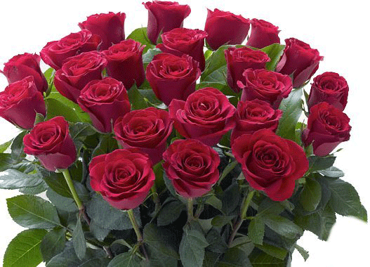 Happy Valentine's day