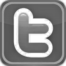 Fllow Us On Twitter