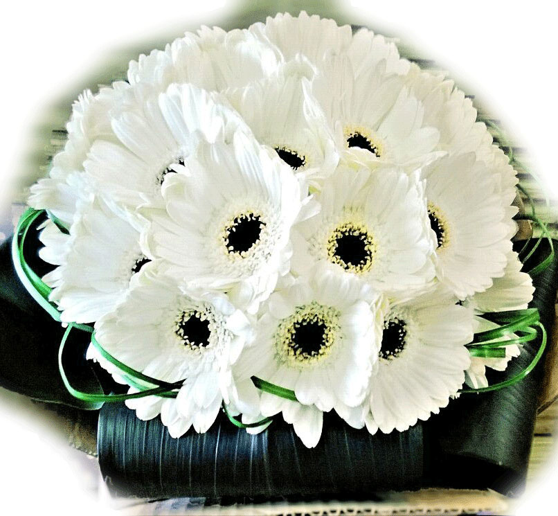 Gerbera hand-tied